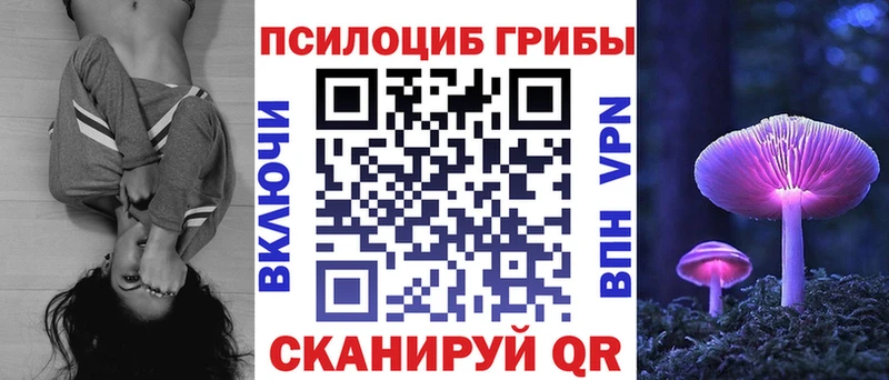 цены наркотик  Опочка  Псилоцибиновые грибы MAGIC MUSHROOMS 